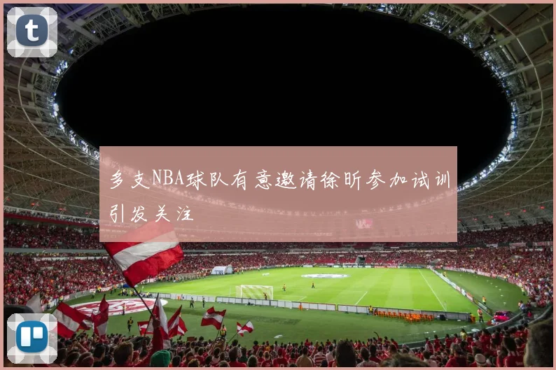 多支NBA球队有意邀请徐昕参加试训引发关注