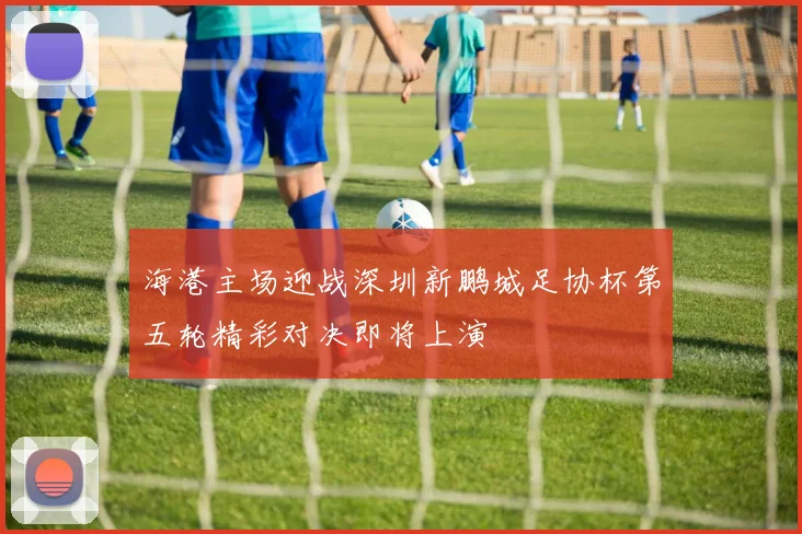 海港主场迎战深圳新鹏城足协杯第五轮精彩对决即将上演